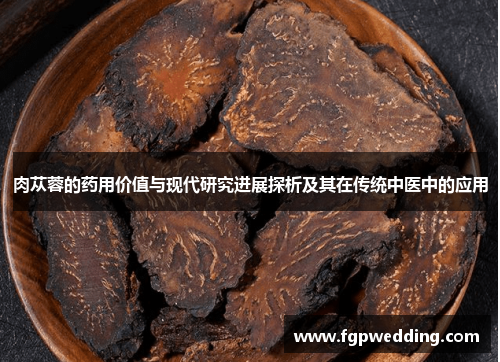 肉苁蓉的药用价值与现代研究进展探析及其在传统中医中的应用 肉苁蓉的药用价值与现代研究进展探析及其在传统中医中的应用