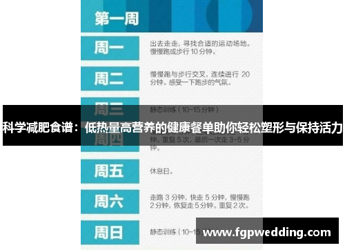 科学减肥食谱：低热量高营养的健康餐单助你轻松塑形与保持活力