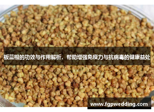 板蓝根的功效与作用解析,帮助增强免疫力与抗病毒的健康益处 板蓝根的功效与作用解析,帮助增强免疫力与抗病毒的健康益处