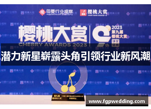潜力新星崭露头角引领行业新风潮 潜力新星崭露头角引领行业新风潮